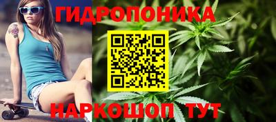 гидра Свободный