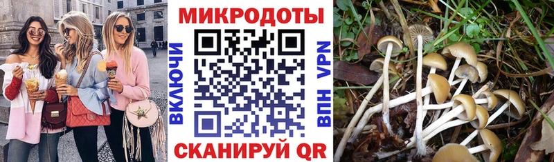 Галлюциногенные грибы ЛСД  наркошоп  Барабинск 