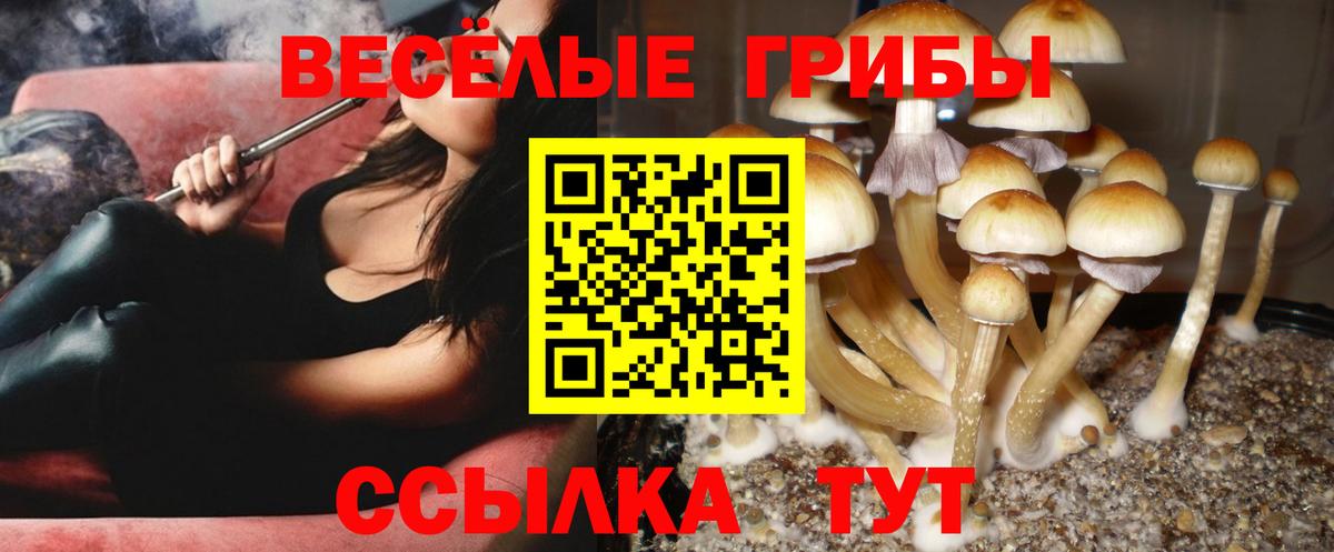 А ПВП Барабинск