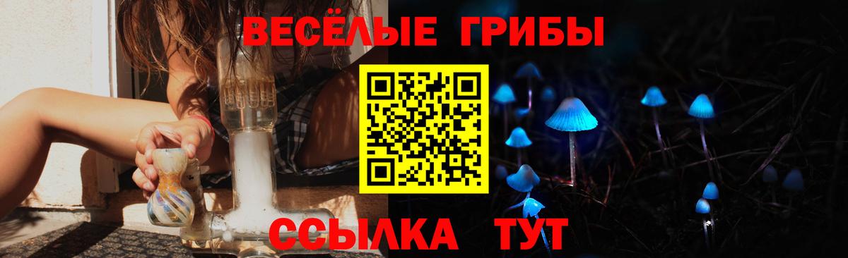 Галлюциногенные грибы Cubensis  Псилоцибиновые грибы GOLDEN TEACHER  Вход с VPN  Барабинск 